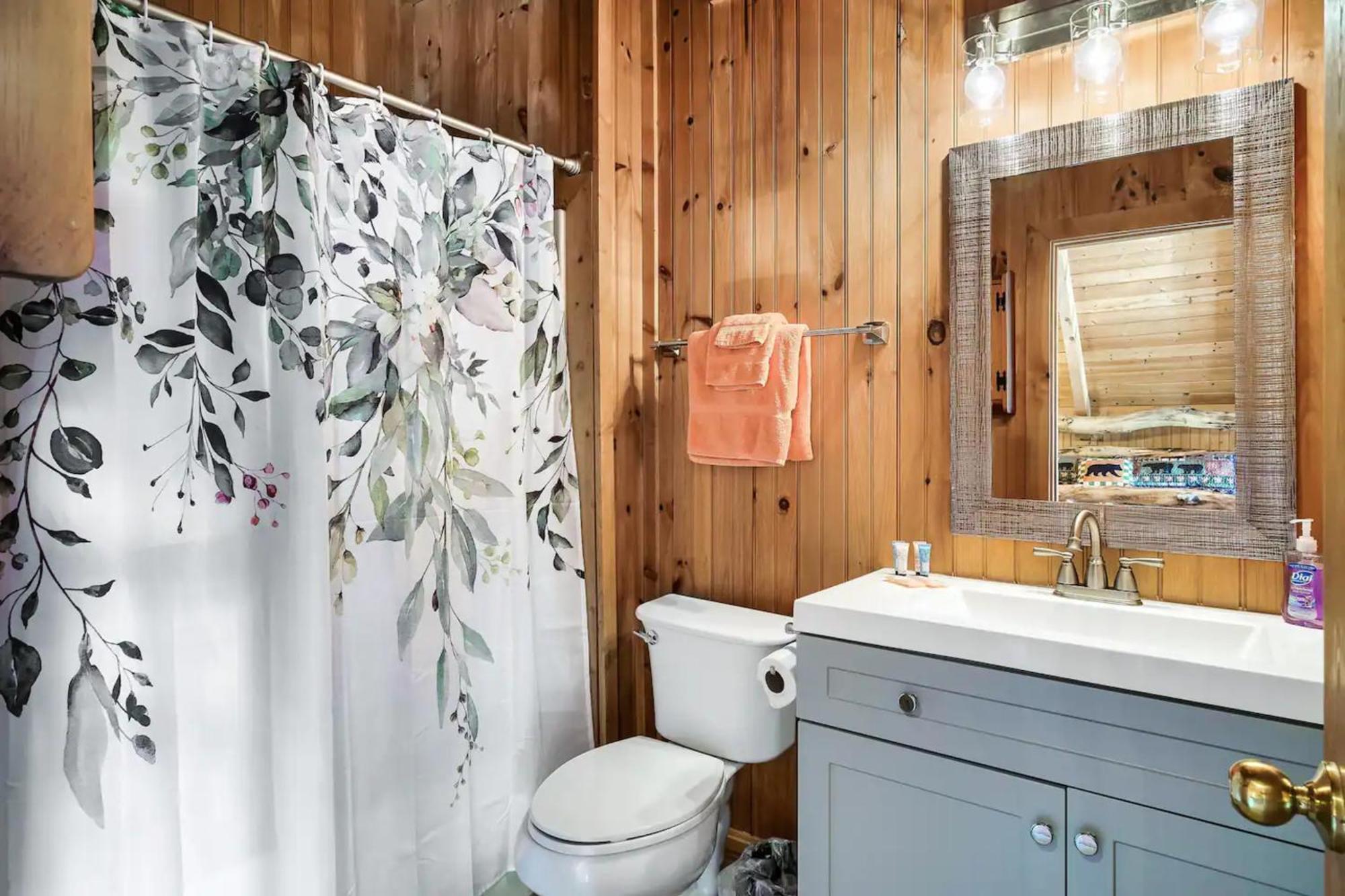 Views 1Br15Bath Pet-Friendly With Hot Tub & Bbq 비둘기 포지 외부 사진